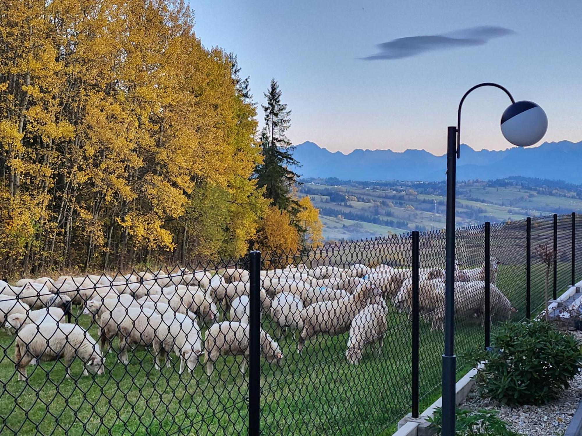 Dworek Nad Jalowcami Білий Дунаєць Екстер'єр фото